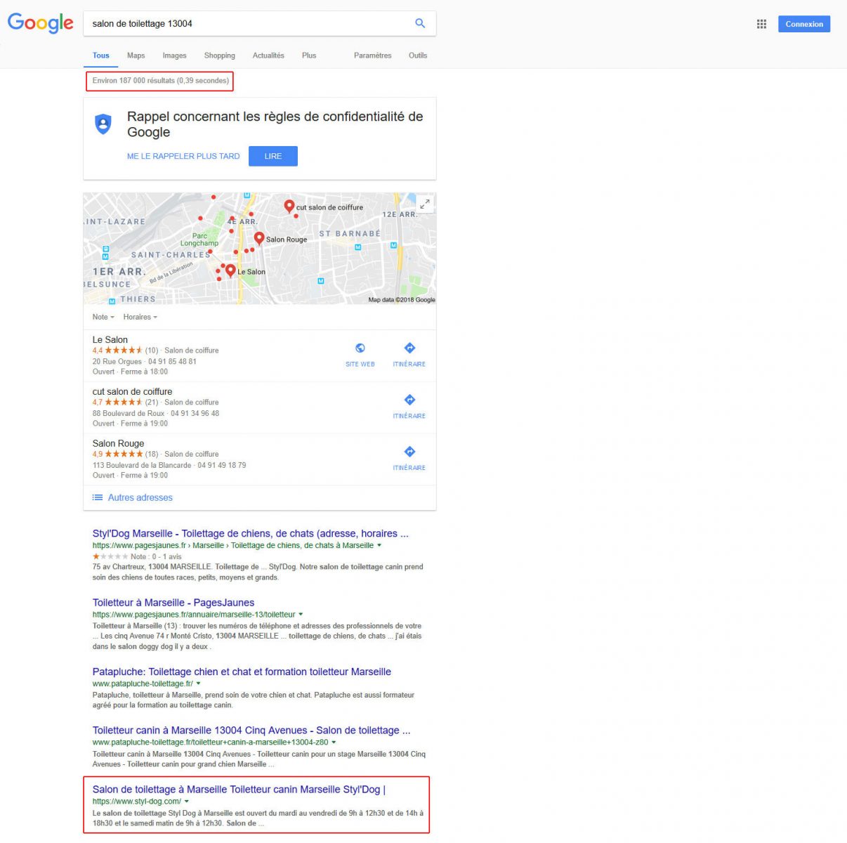 Référencement naturel Google Styl-Dog